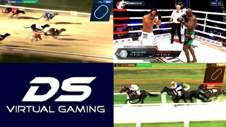 DS Virtual Gaming celebra un año de nuevos lanzamientos y sólidas alianzas