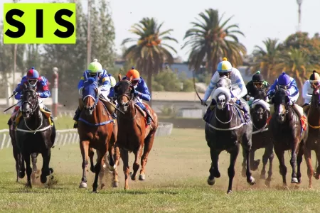 How horse racing can maintain its strong standing