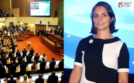 Una mirada sobre la situación legislativa de la industria del juego en Chile