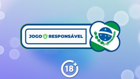 Radiografia do jogo responsável no Brasil