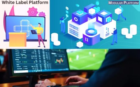 Modular platforms vs. White label solutions: What’s the best option for iGaming operators?